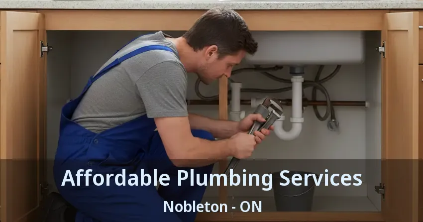 Affordable Plumbing Services Nobleton - ON