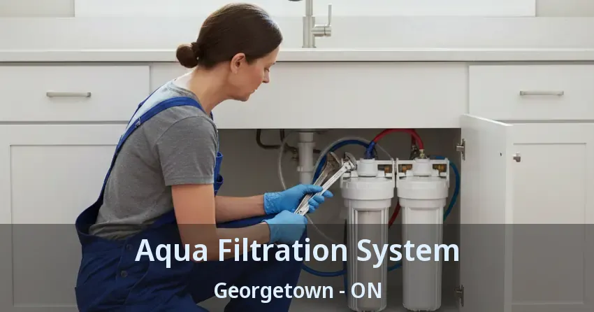 Aqua Filtration System Georgetown - ON