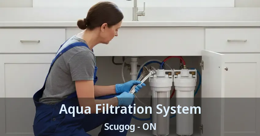 Aqua Filtration System Scugog - ON