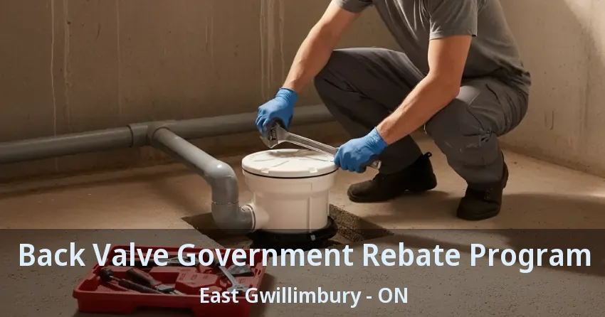 Back Valve Government Rebate Program East Gwillimbury - ON