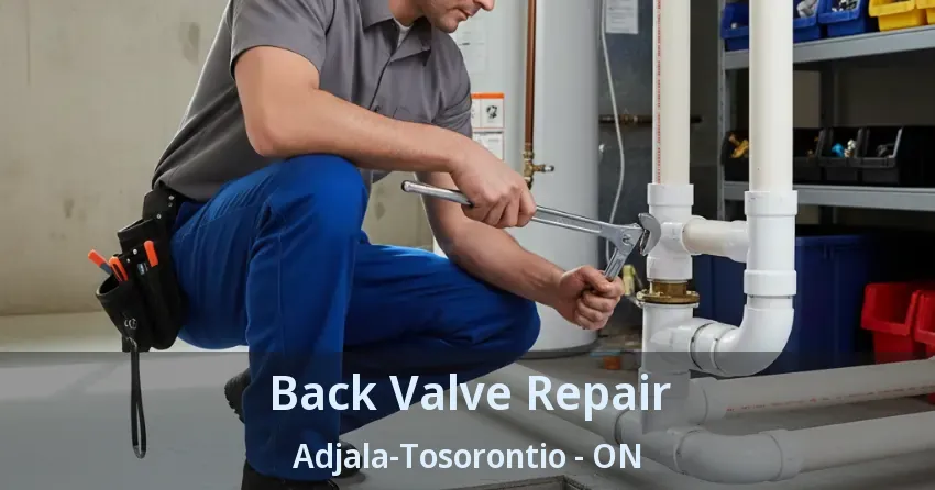 Back Valve Repair Adjala-Tosorontio - ON