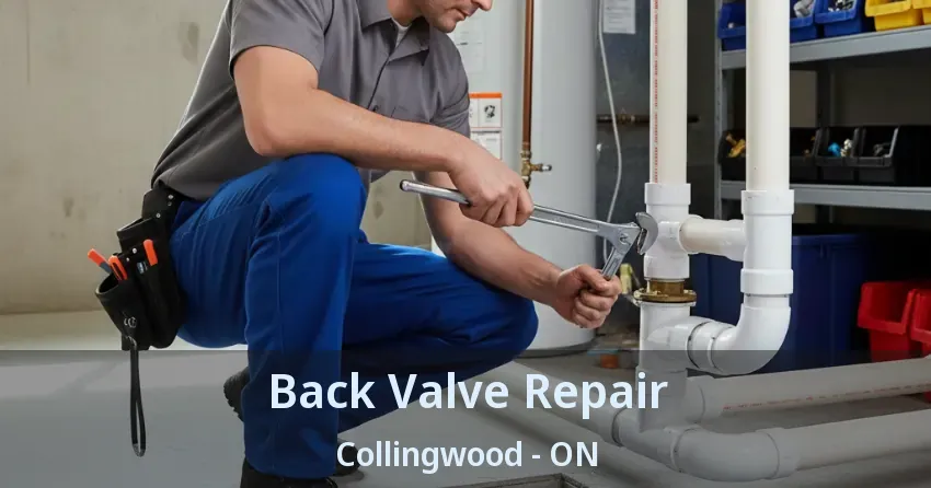 Back Valve Repair Collingwood - ON