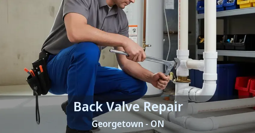 Back Valve Repair Georgetown - ON