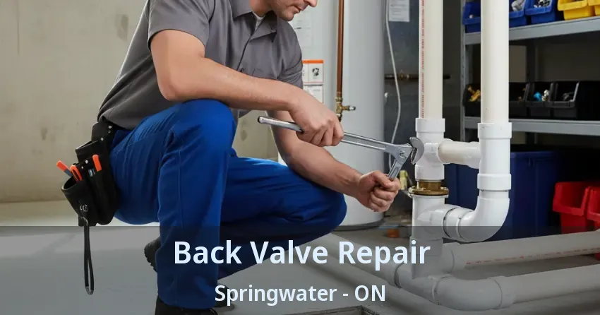 Back Valve Repair Springwater - ON