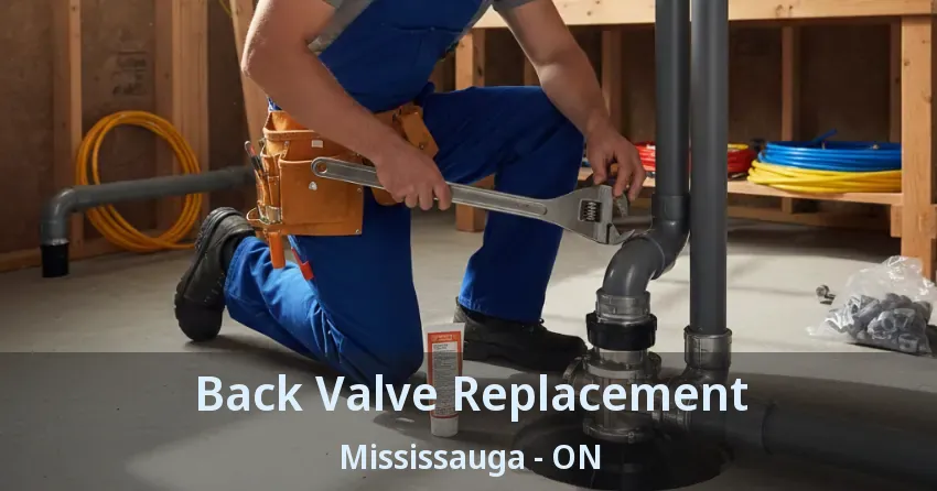 Back Valve Replacement Mississauga - ON