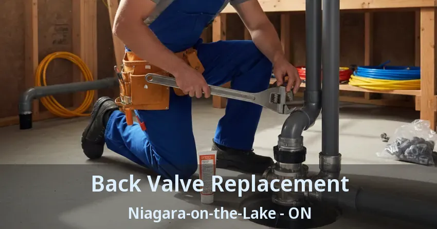 Back Valve Replacement Niagara-on-the-Lake - ON