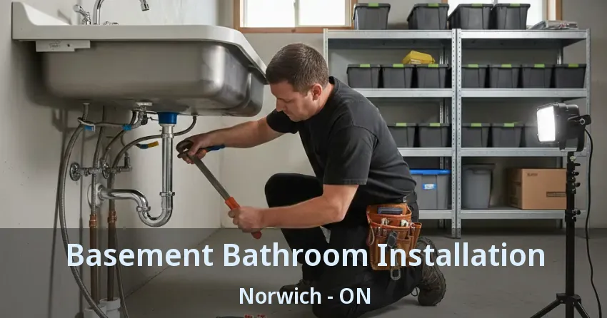 Basement Bathroom Installation Norwich - ON