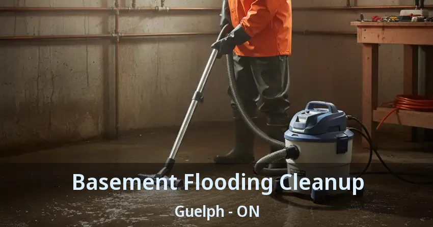 Basement Flooding Cleanup Guelph - ON