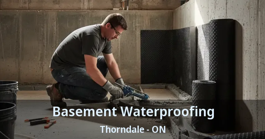 Basement Waterproofing Thorndale - ON