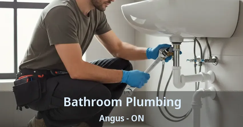 Bathroom Plumbing Angus - ON