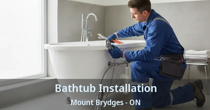Bathtub Installation Mount Brydges - ON