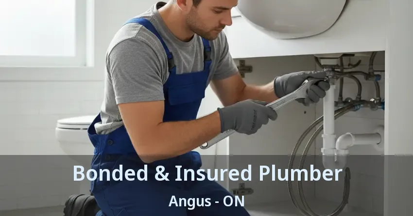 Bonded & Insured Plumber Angus - ON