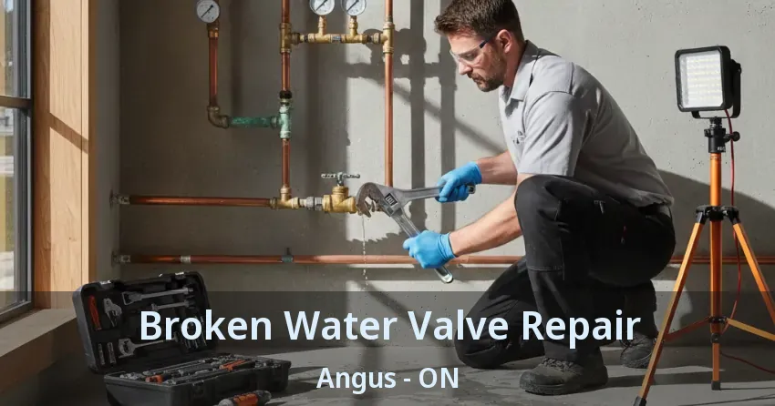Broken Water Valve Repair Angus - ON