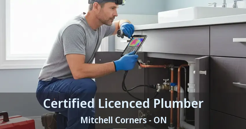 Certified Licenced Plumber Mitchell Corners - ON