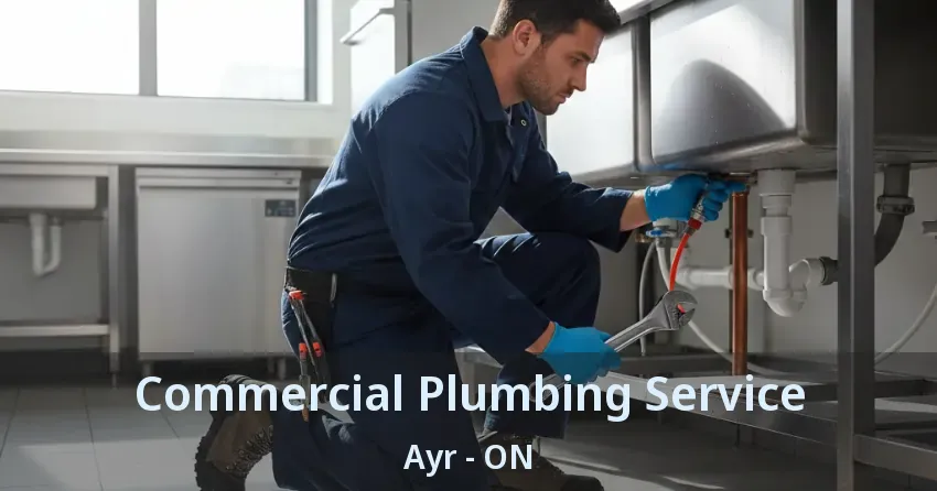 Commercial Plumbing Service Ayr - ON