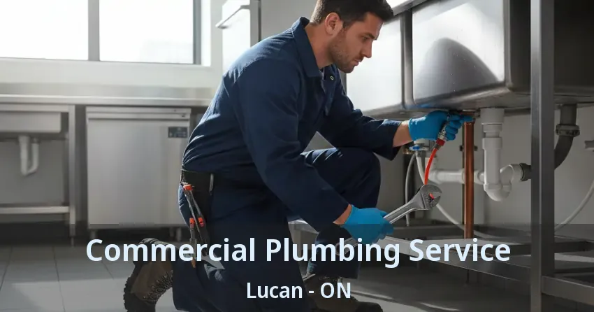 Commercial Plumbing Service Lucan - ON
