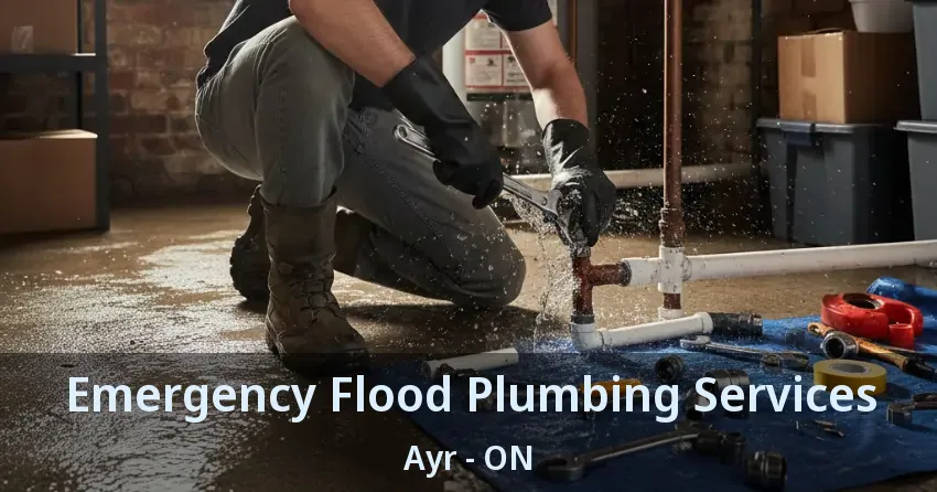 Emergency Flood Plumbing Services Ayr - ON