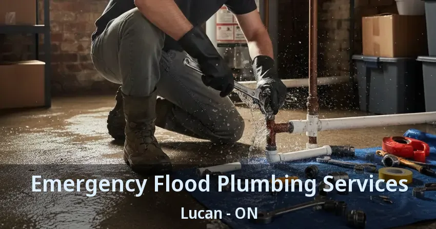 Emergency Flood Plumbing Services Lucan - ON