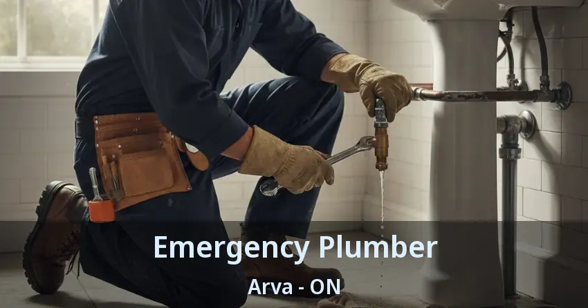 Emergency Plumber Arva - ON