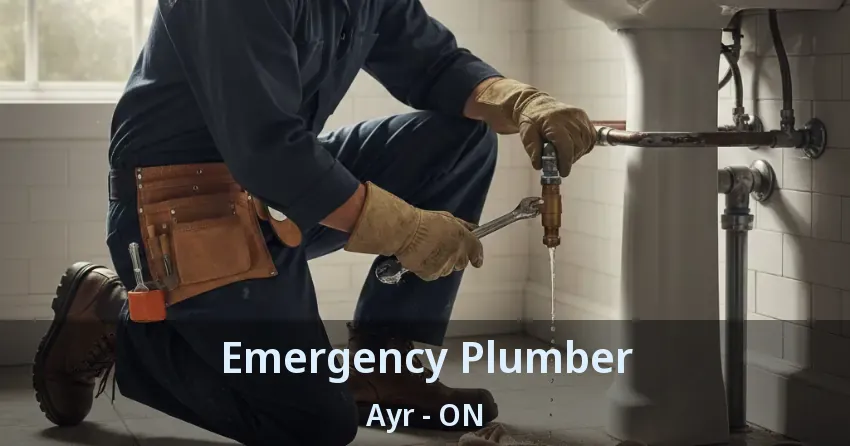 Emergency Plumber Ayr - ON