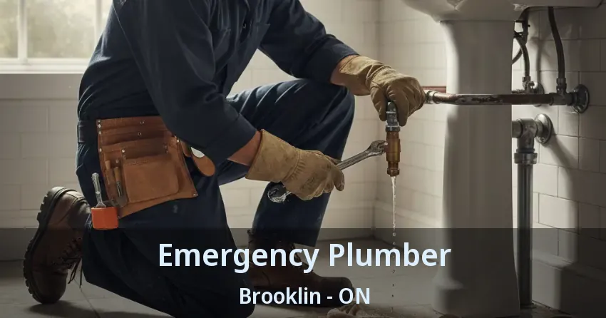 Emergency Plumber Brooklin - ON