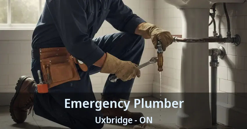 Emergency Plumber Uxbridge - ON