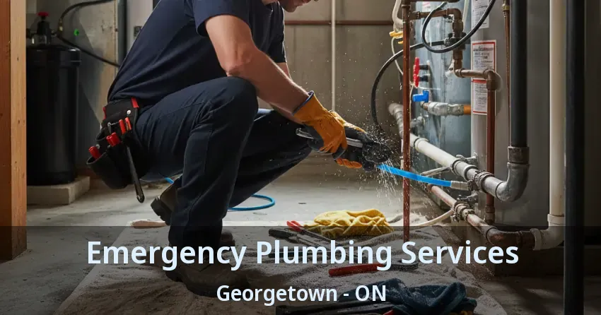 Emergency Plumbing Services Georgetown - ON