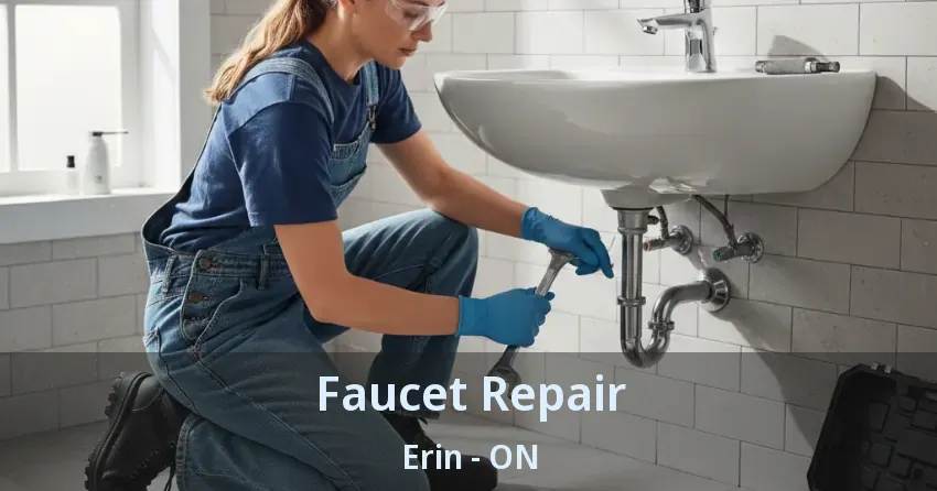 Faucet Repair Erin - ON