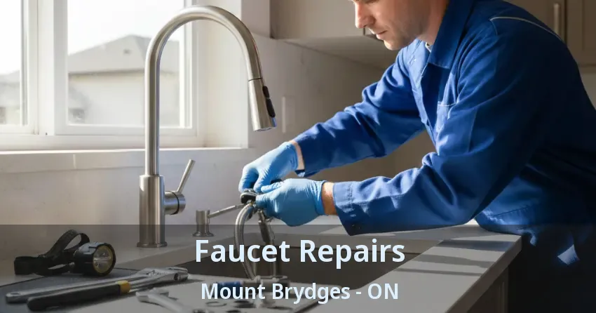 Faucet Repairs Mount Brydges - ON