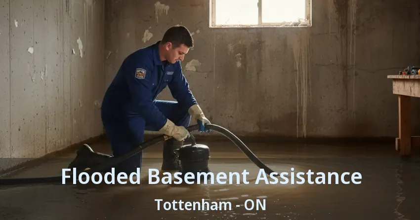 Flooded Basement Assistance Tottenham - ON