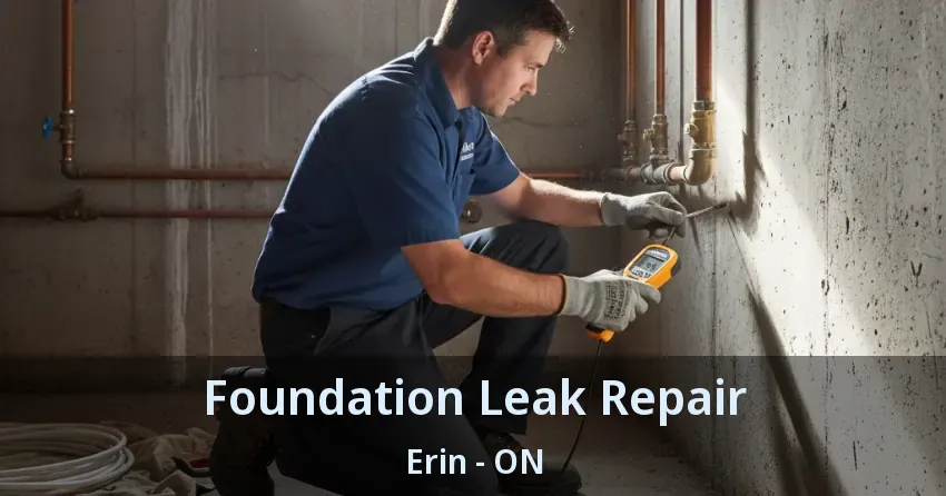 Foundation Leak Repair Erin - ON