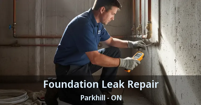 Foundation Leak Repair Parkhill - ON