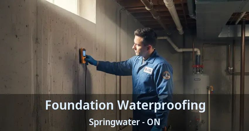Foundation Waterproofing Springwater - ON