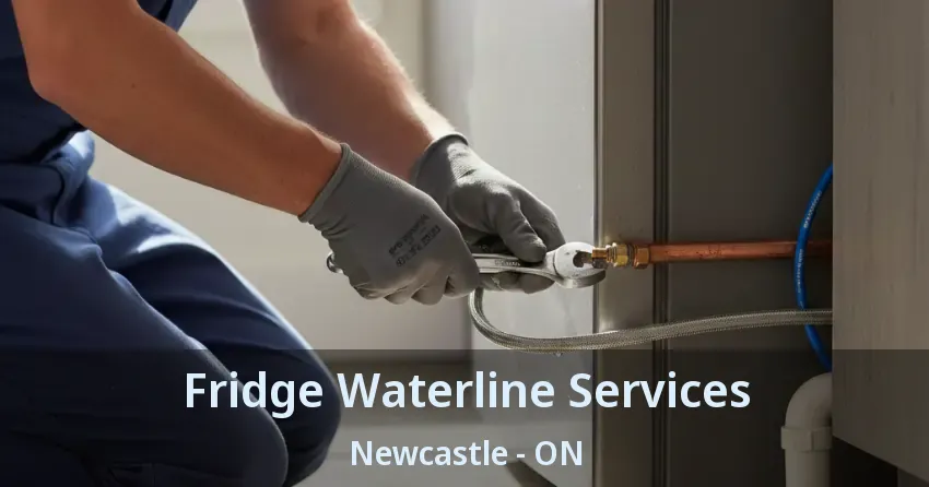 Fridge Waterline Services Newcastle - ON