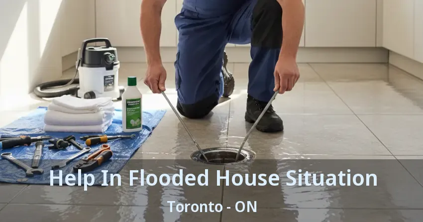 Help In Flooded House Situation Toronto - ON
