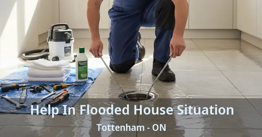 Help In Flooded House Situation Tottenham - ON