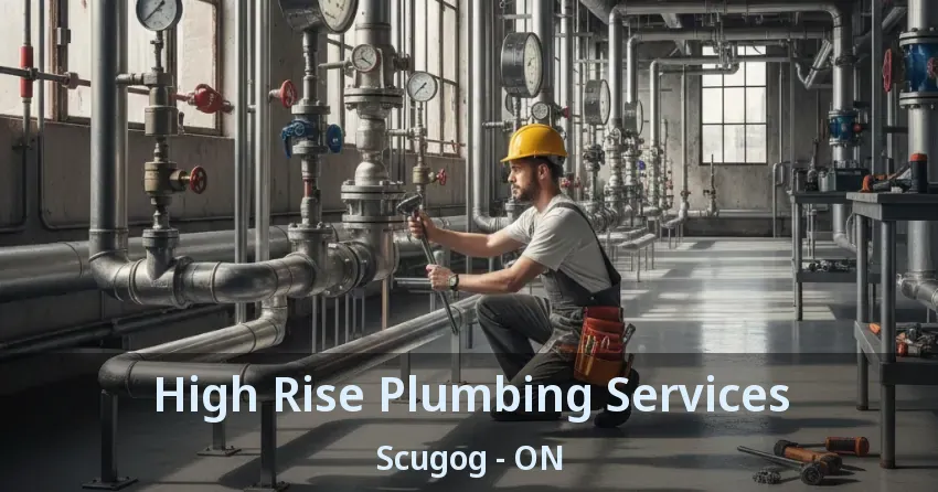 High Rise Plumbing Services Scugog - ON