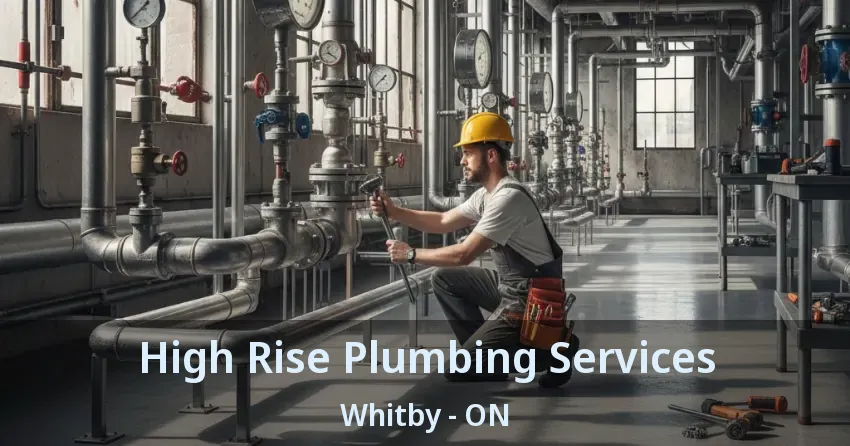 High Rise Plumbing Services Whitby - ON