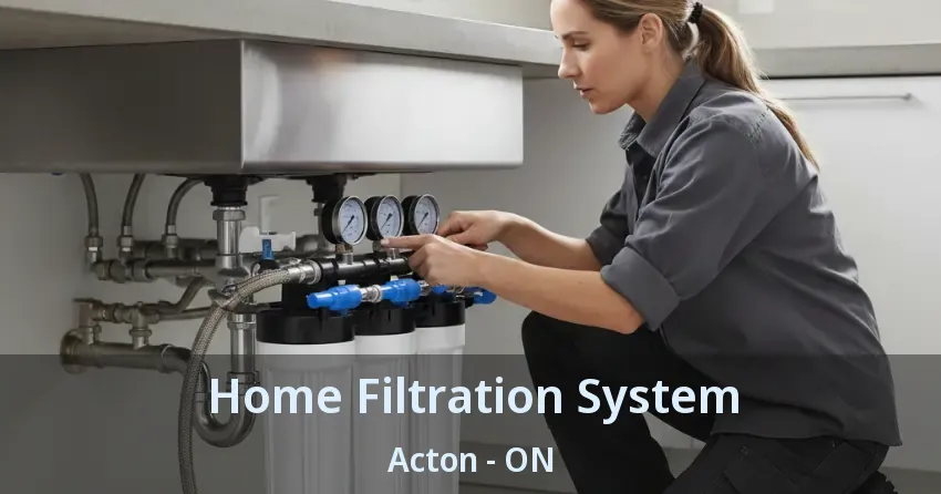 Home Filtration System Acton - ON