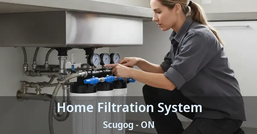 Home Filtration System Scugog - ON