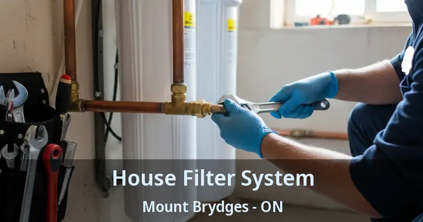 House Filter System Mount Brydges - ON
