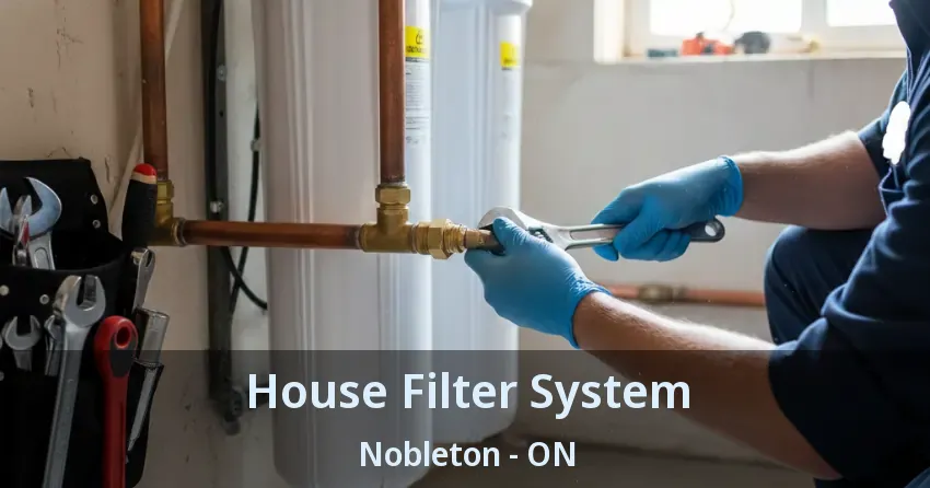 House Filter System Nobleton - ON