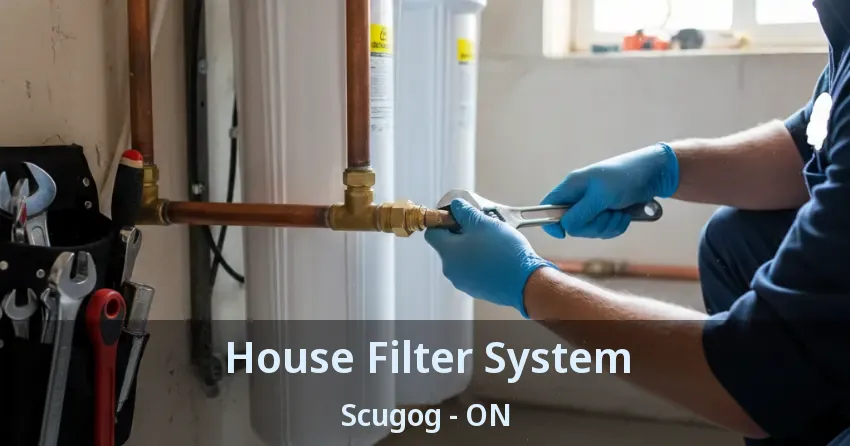 House Filter System Scugog - ON