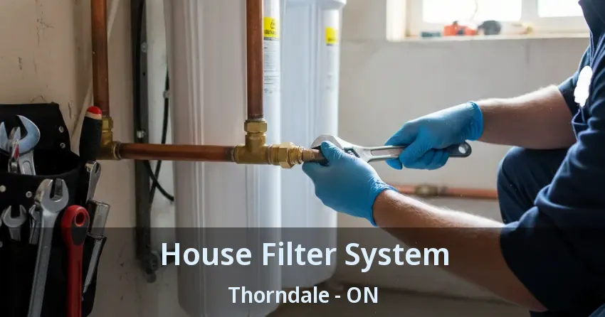 House Filter System Thorndale - ON