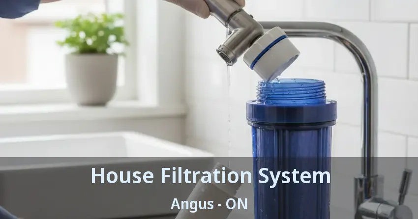 House Filtration System Angus - ON