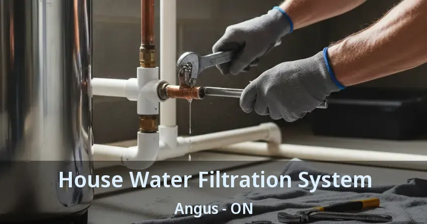 House Water Filtration System Angus - ON