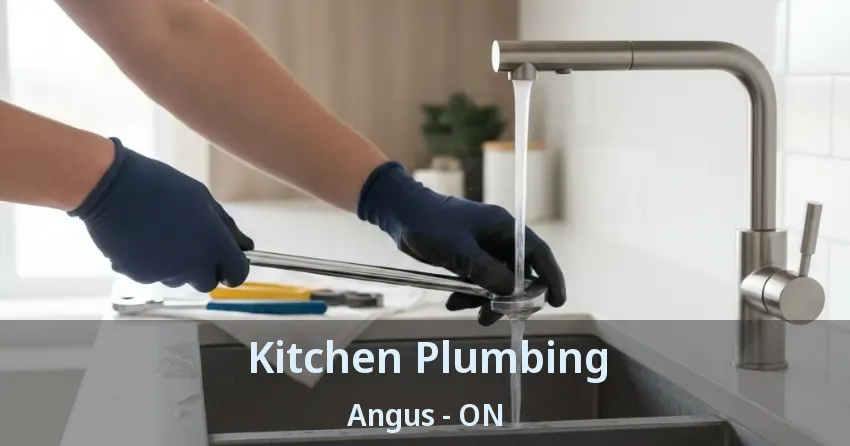 Kitchen Plumbing Angus - ON