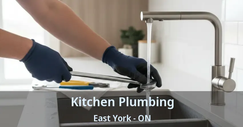 Kitchen Plumbing East York - ON