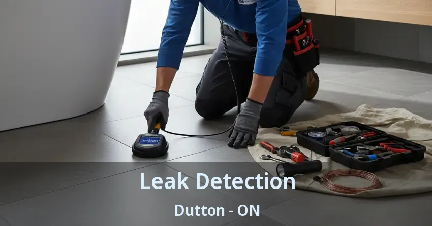 Leak Detection Dutton - ON