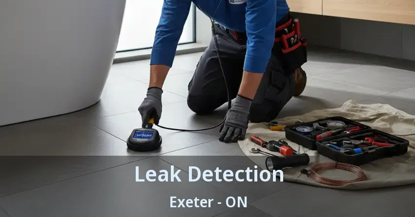Leak Detection Exeter - ON